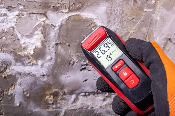 Best Mold Removal Company Near Me  in Lynchburg, OH