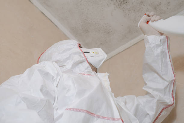 Best Mold Remediation Experts  in Lynchburg, OH